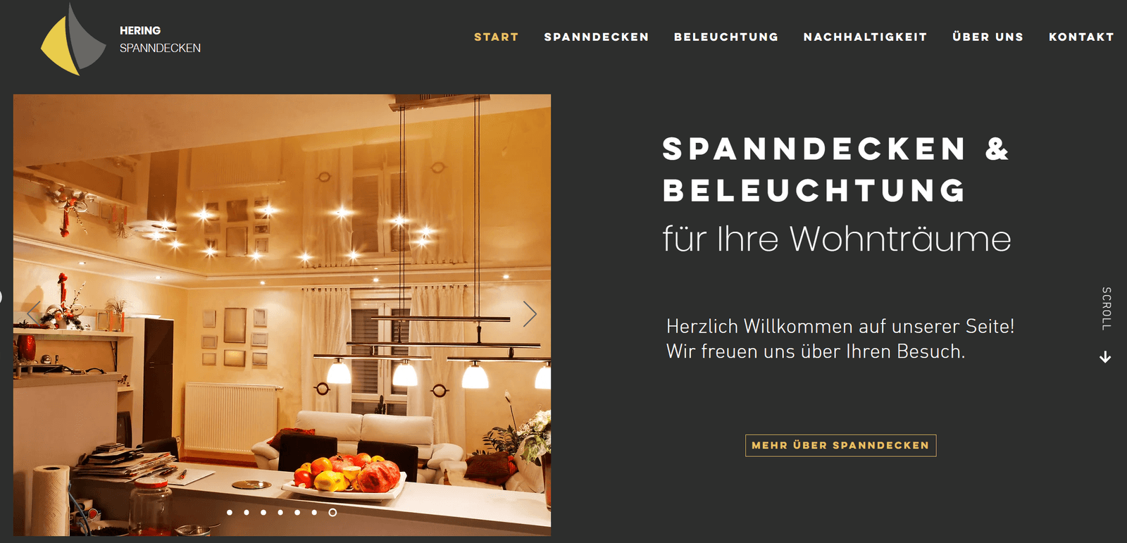 Website Hering Spanndecken – Spanndecken & Beleuchtung